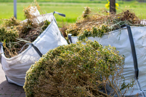 Best Property Management Cleanouts  in Quincy, IL